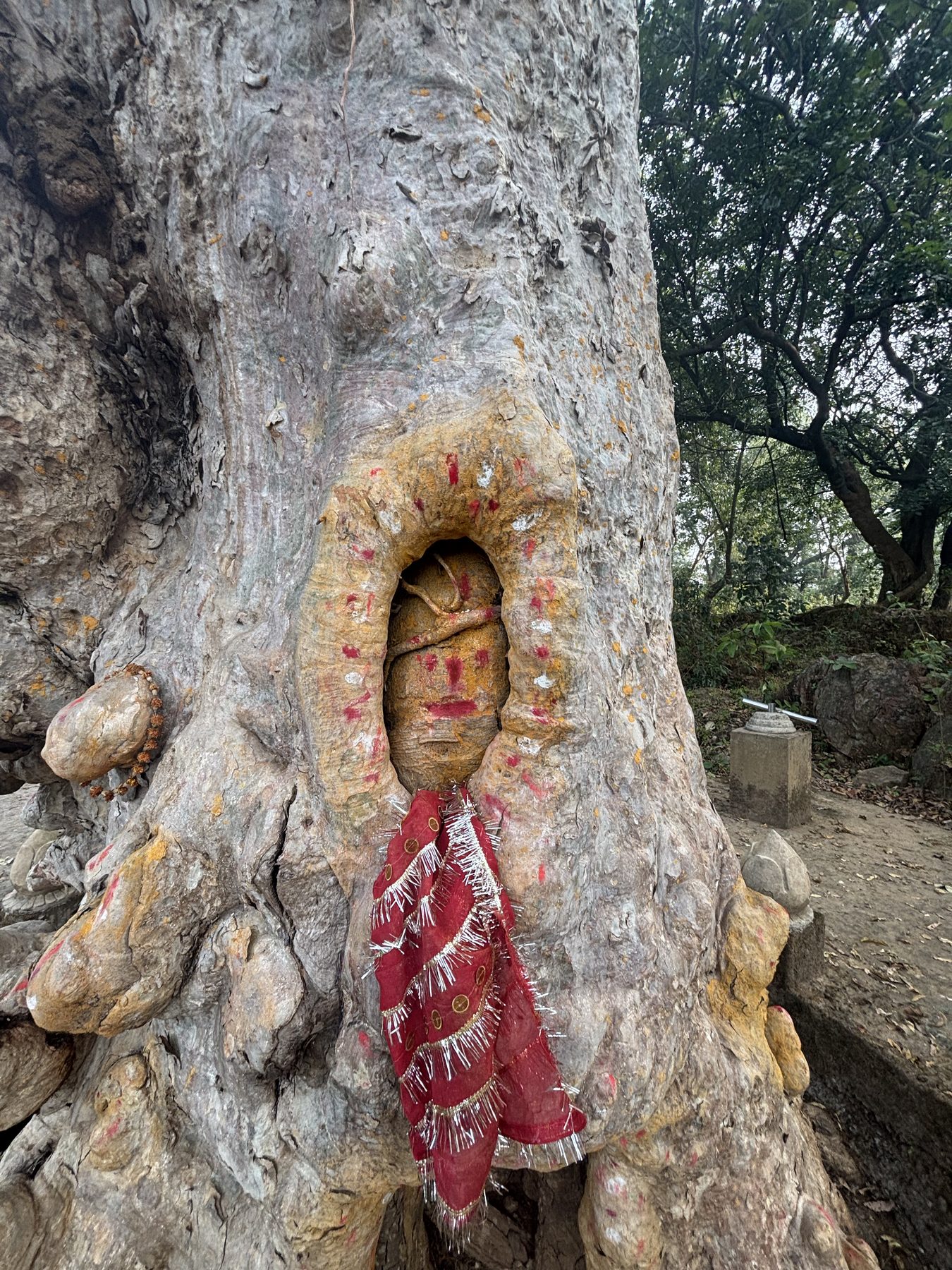 The Devi shrine at the foot of the Arjun tree