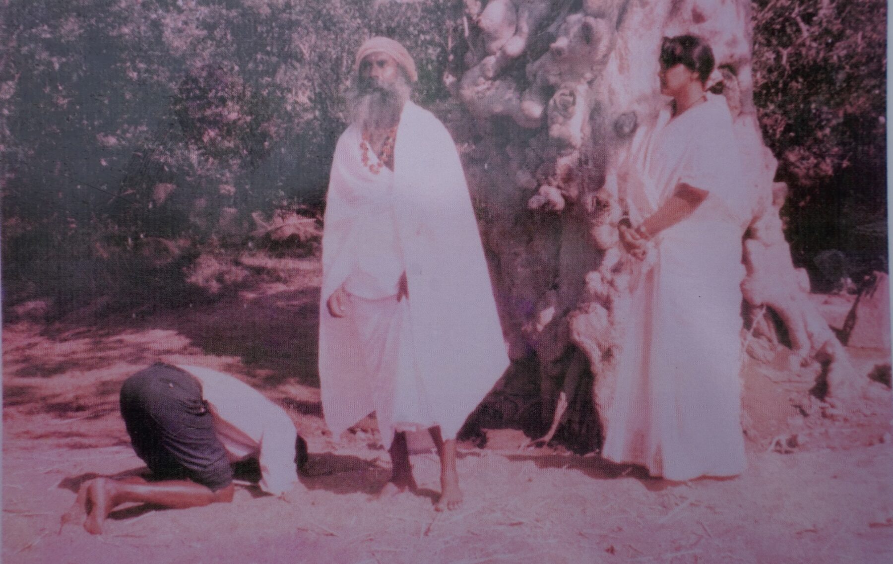 At the Arjun tree