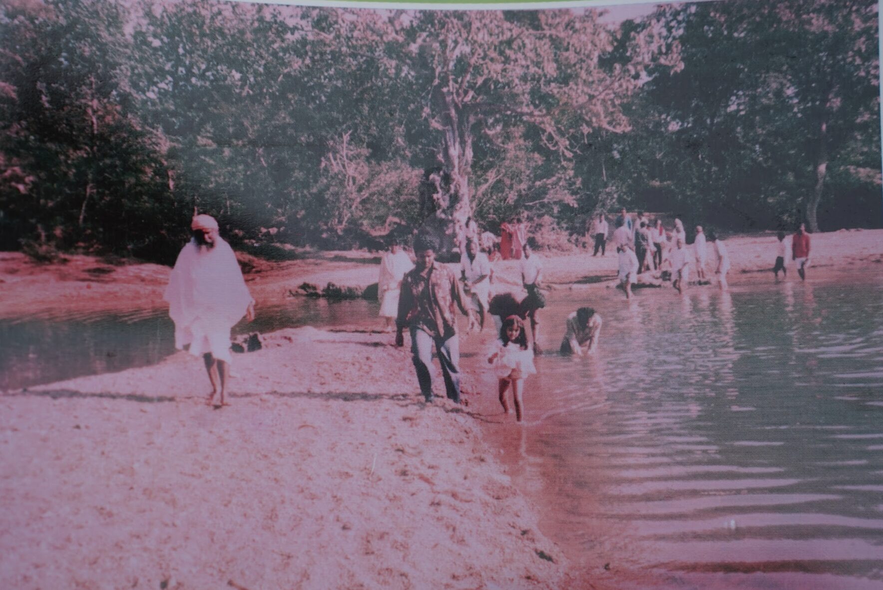 At the Arjun tree