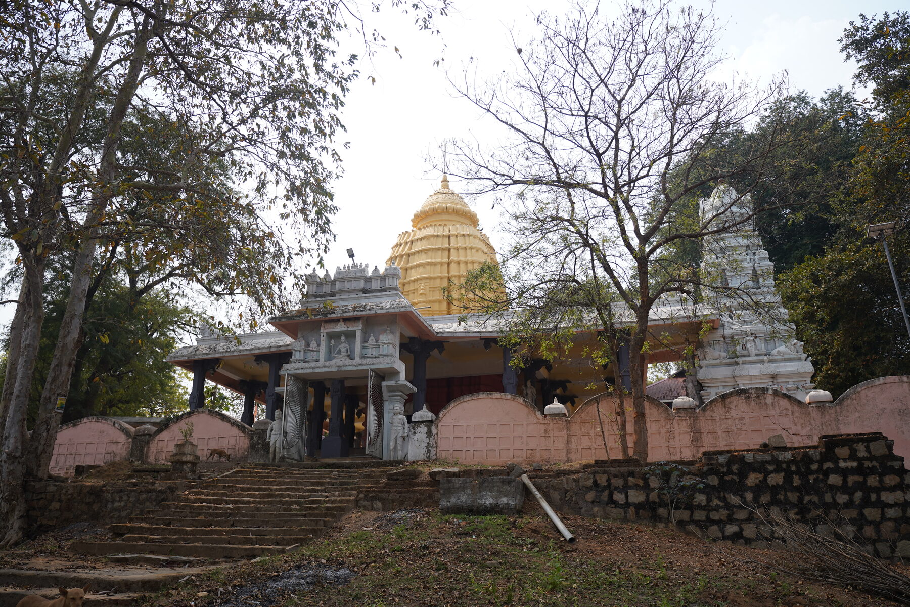 Mukteshwar Temple seen from the rear, with its golden spire